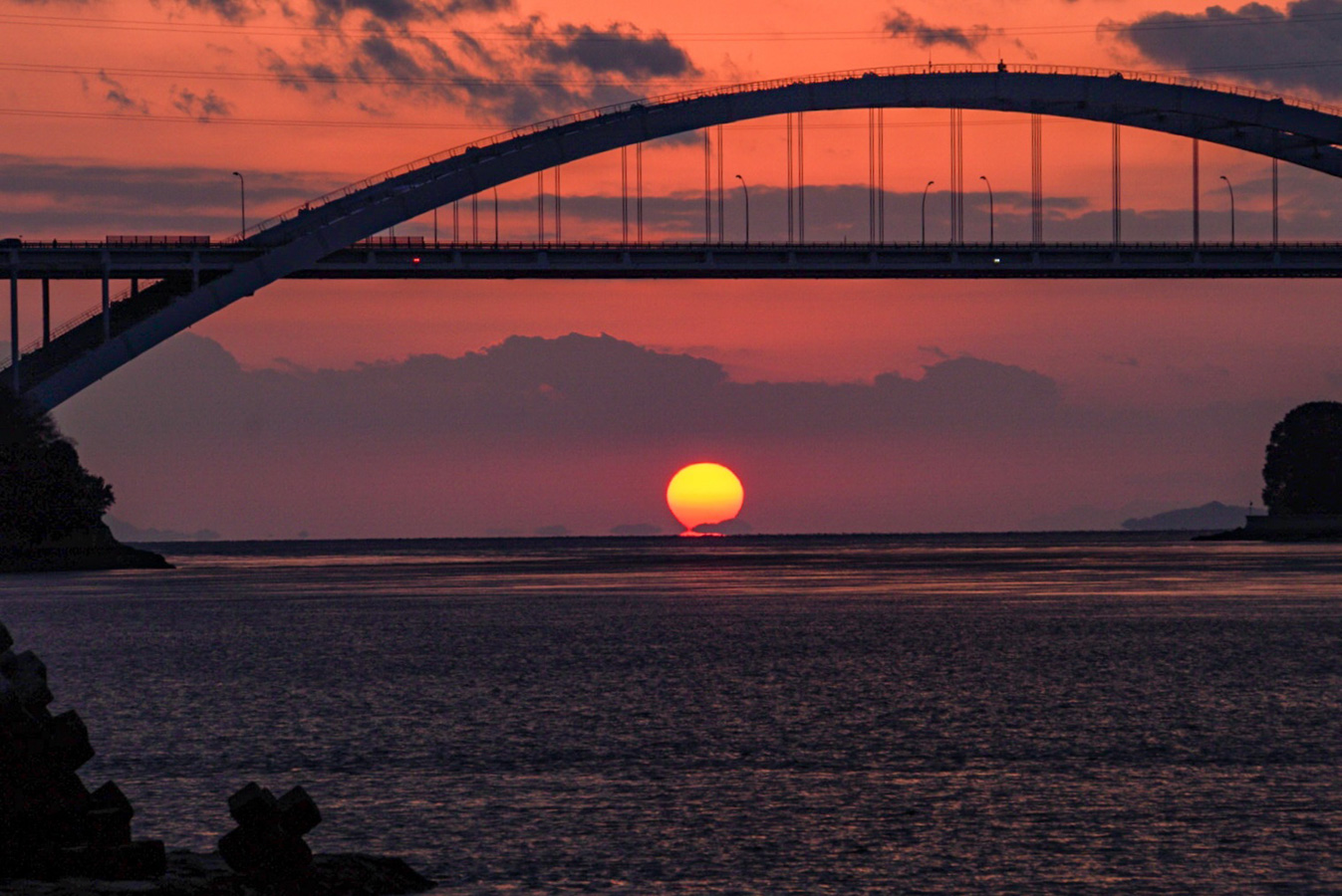 11-12月「アーチ橋とダルマタ日」｜羽藤 真希